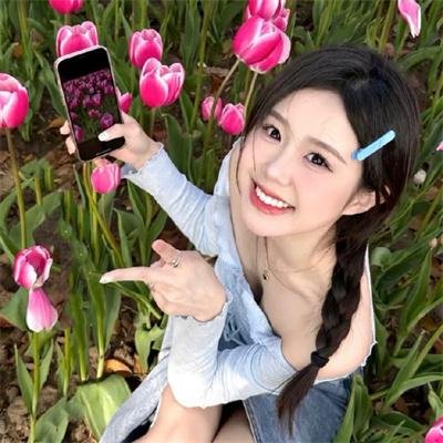 不安分的狗